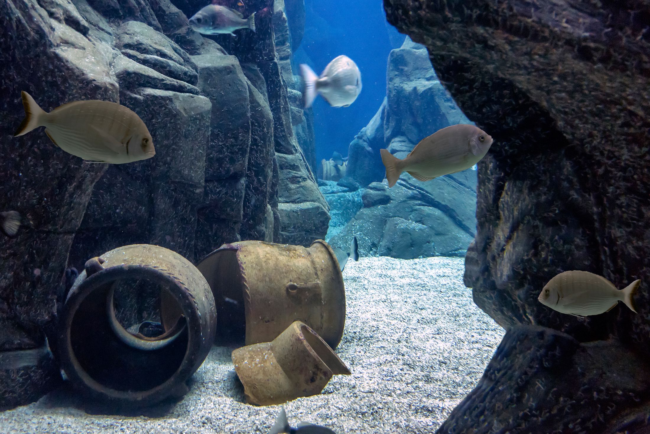 Discover Aquaworld in Crete