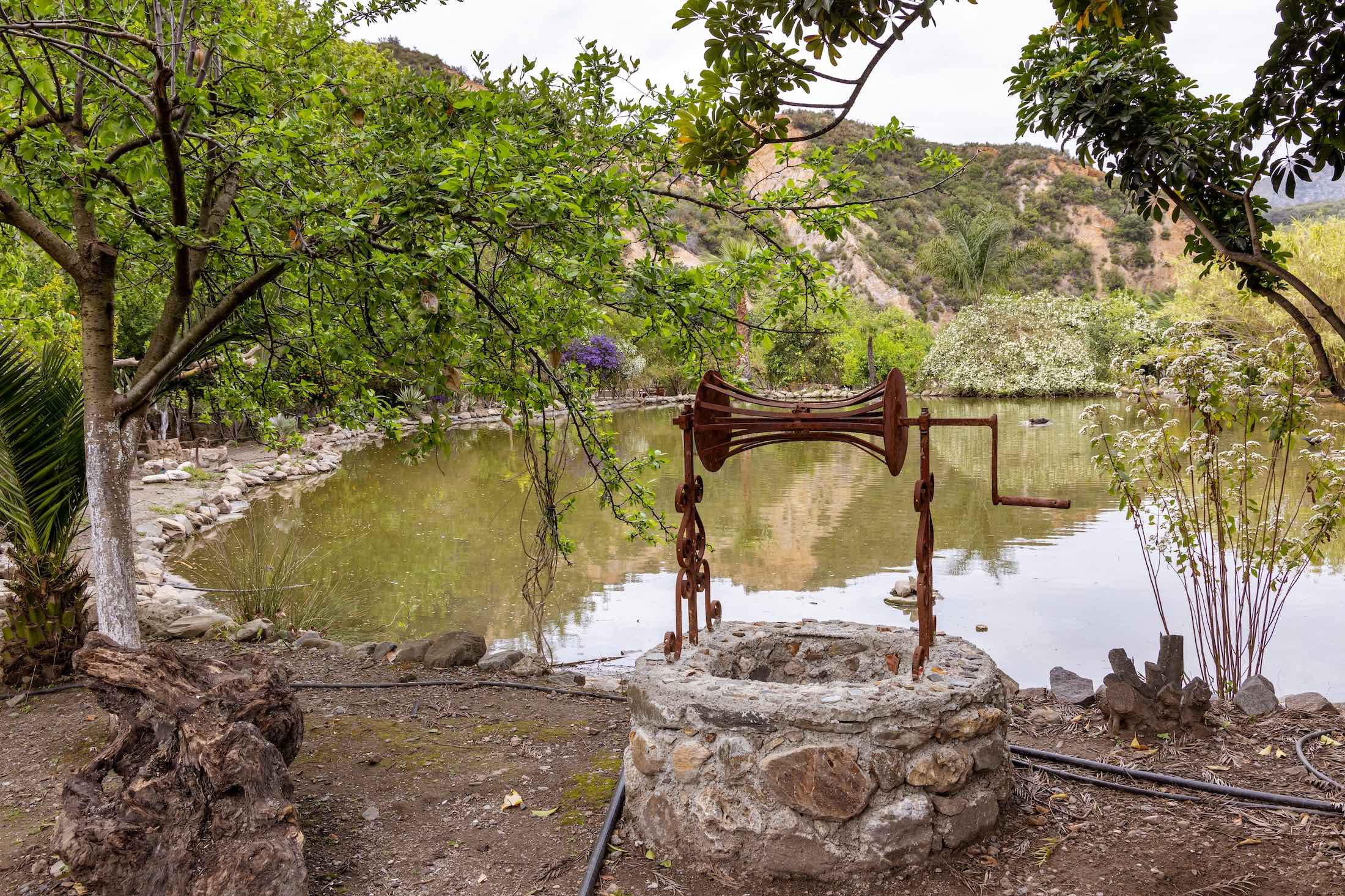 The botanical gardens of Crete: A mediterranean paradise The botanical gardens of Crete: A mediterranean paradise