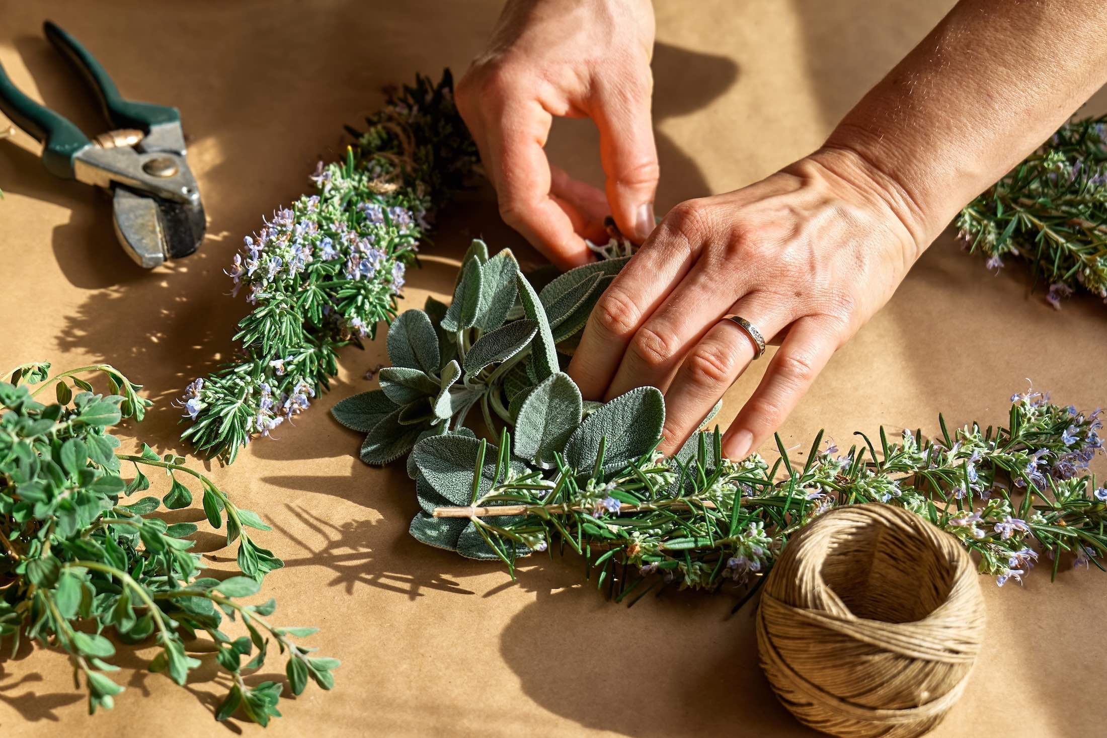 The magic power of cretan herbs The magic power of cretan herbs
