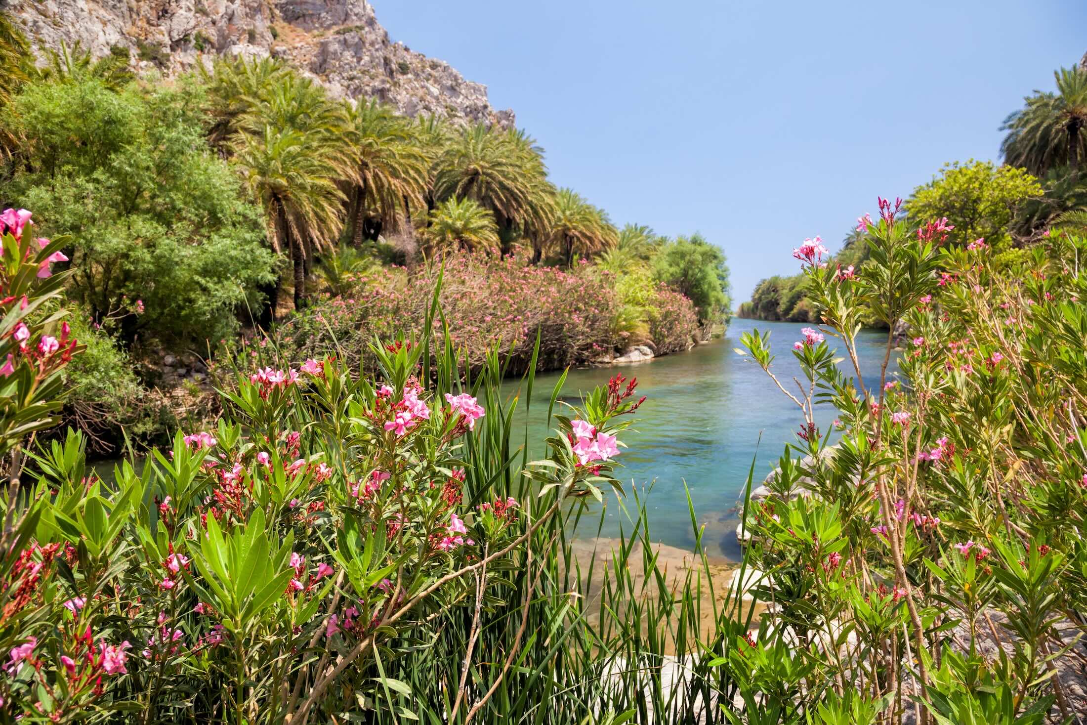Crete in Bloom: A Springtime escape to Greece’s enchanting island Crete in Bloom: A Springtime escape to Greece’s enchanting island