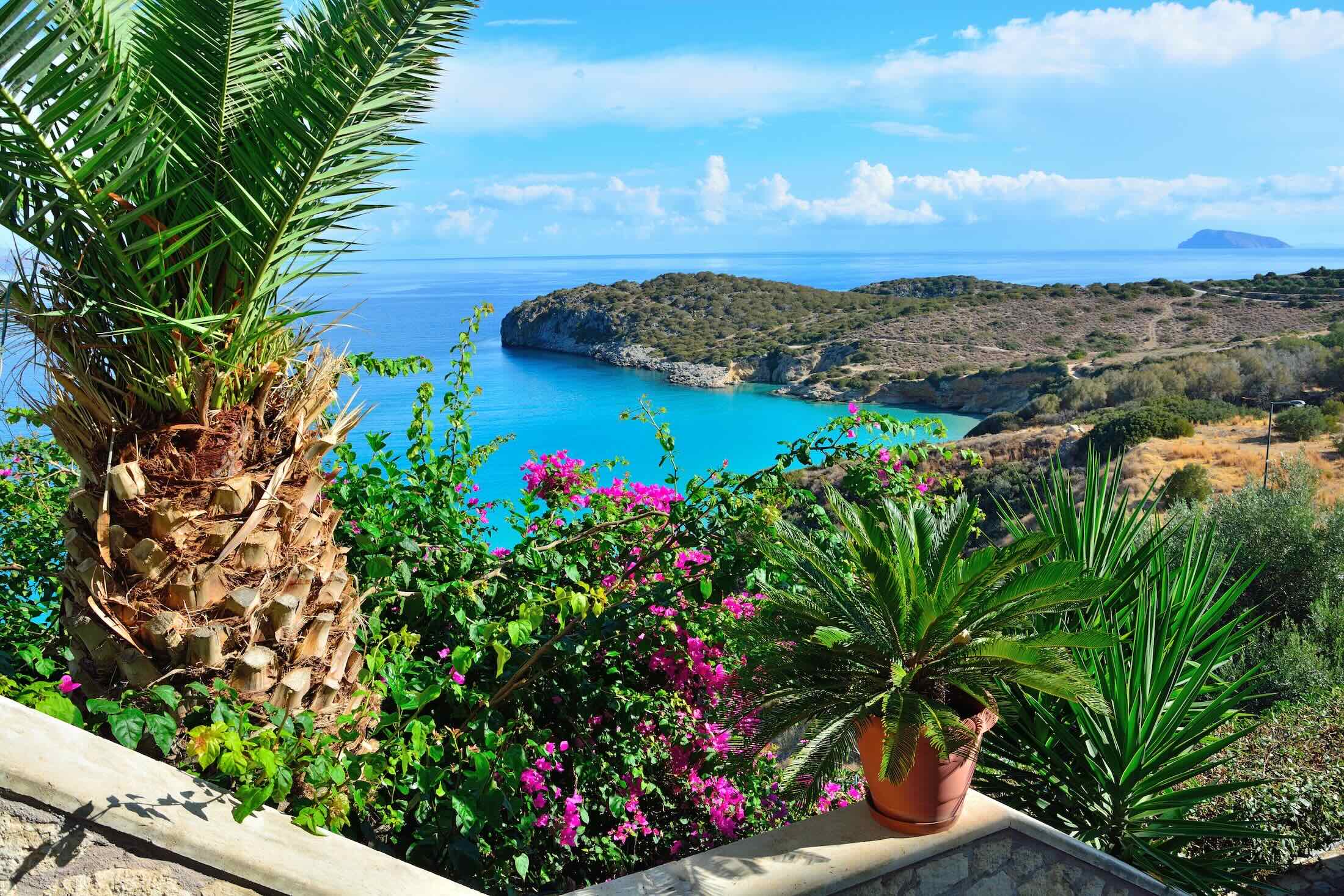 The blossoming beauty of Crete: A journey through its flowers The blossoming beauty of Crete: A journey through its flowers