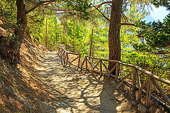 xIJ_forests-crete