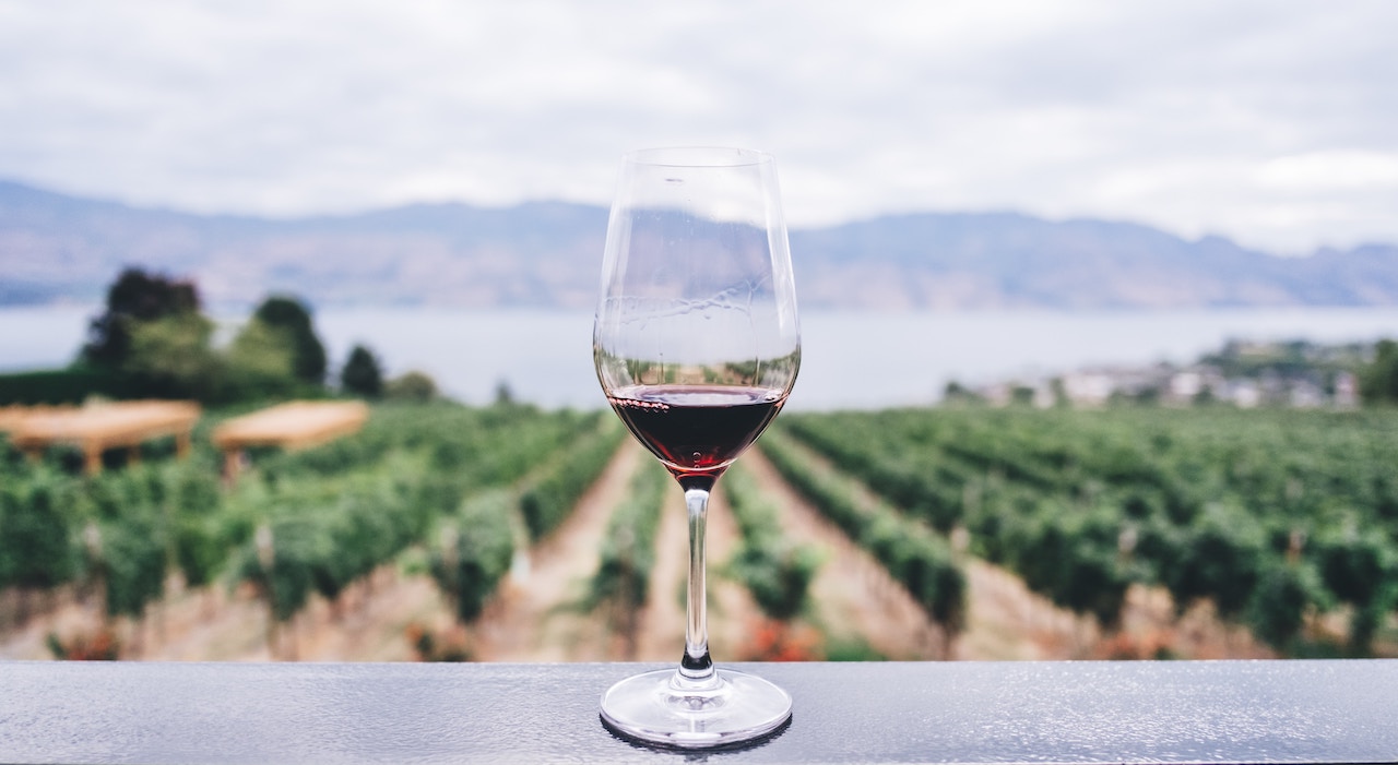 Wine tasting suggestions in Heraklion, Crete glass of red wine in crete vineyard