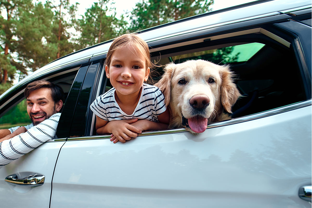 Useful tips and info about transportation in Crete father daughter with dog in car